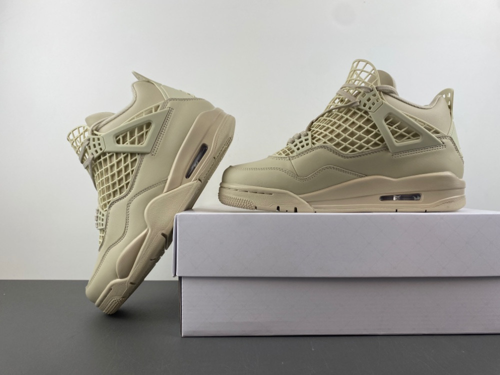 Air Jordan 4 WMNS NET "Rattan" FN7251-200