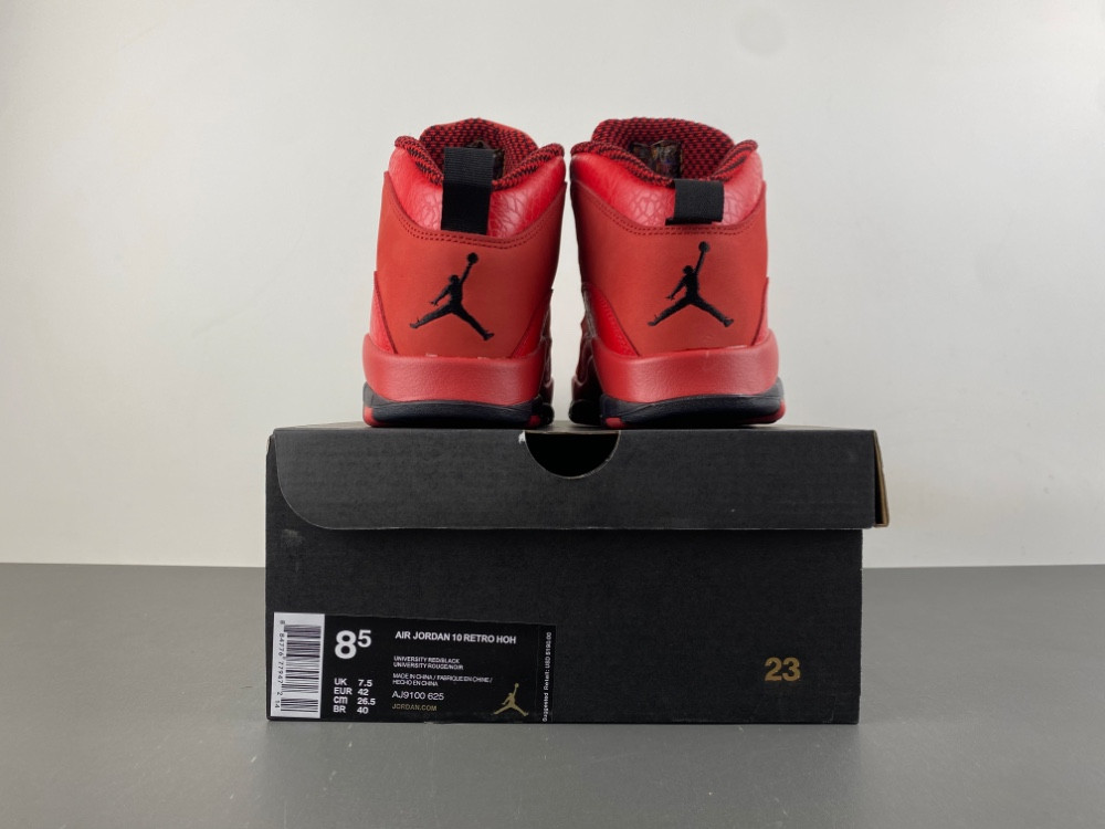 Steve Wiebe x Air Jordan 10 Retro 