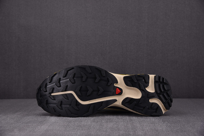 salomon xt-6