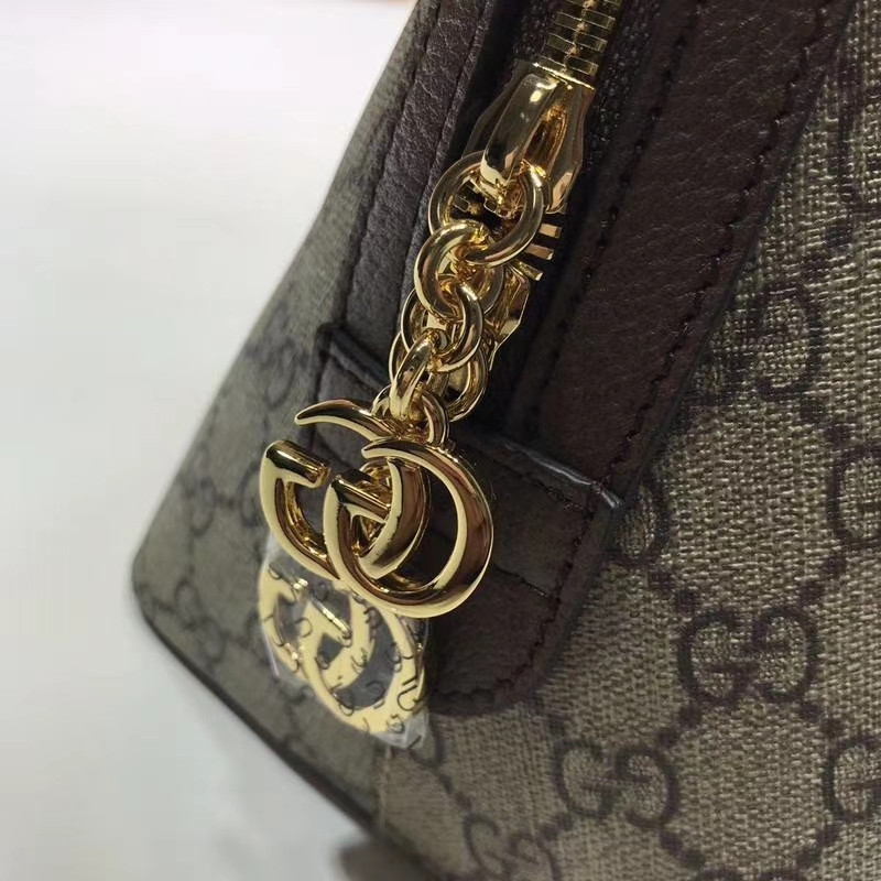 G*u*i bag