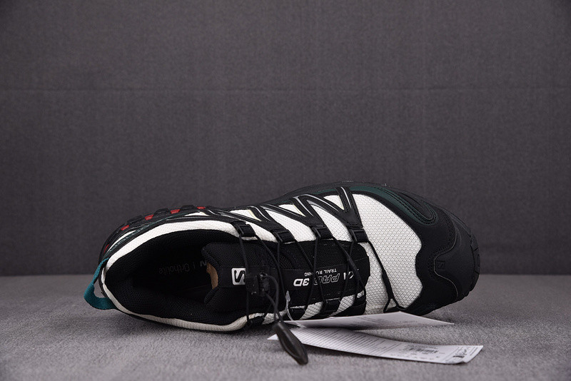 salomon xa pro 3d